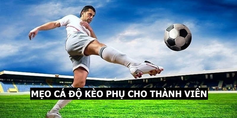 Học tips đơn giản cá độ kèo phụ chắc thắng 